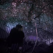 лив фаст дай янг - система