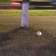 нексет емки - взять кофе