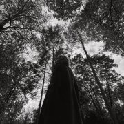 Полосы - Одна