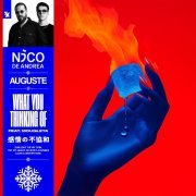 Nico de Andrea, Auguste, Mougleta - What You Thinking Of