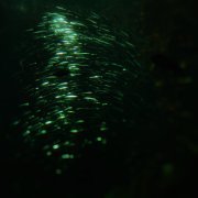 postdrome - From Heaven, from Nowhere