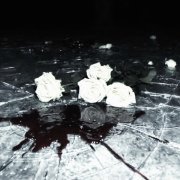 WHITE GALLOWS, Danny Farro - Бредить