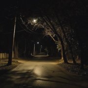 Money Flip - lullaby