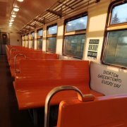 DENTEM, GREENTEMPO - Everyday