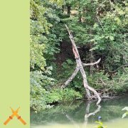 Sam Gendel - I Strongly Believe in the Power of Making the Bed