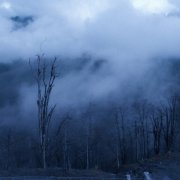 Money Flip, Vie - No Emotion