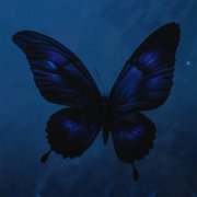 Ashess, vishæs - butterfly effect