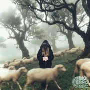 Lil Kidd - На крыльях ветра