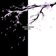 ЮККИ - Чёрно-белые мечты