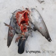 Курара - Данте