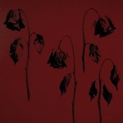 балкон ожиданий - сходили с ума