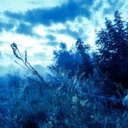 the morph, mklv - empty inside