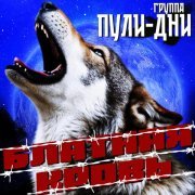 Группа Пули-Дни - Не судимы будете