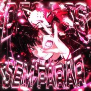 PXLWYSE - DES DES SEM PARAR