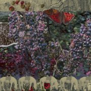 Nikita Kamenskiy - SOFT STOP