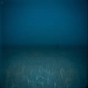 Money Flip, seen twice - solitude