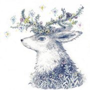 Matt Johnson - Flowers In Their Hair