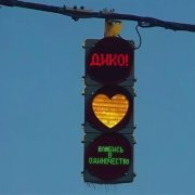 ДИКО! - Влюбись в одиночество