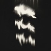 Dear Youth - Where You Haunt Me