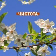 Глас вокальный проект - Сон мне приснился