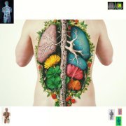 Nasim, Karnain - Состав