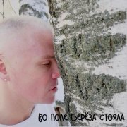 Константин Легостаев - Во поле берёза стояла