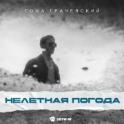 Гоша Грачевский - Нелетная погода
