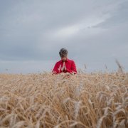 Том Космос - Поле