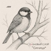 ОзОНОВЫЙ СЛОЙ - Синица