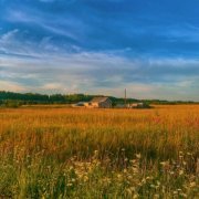 kate terentyeva - бесконечное лето