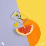 Fallen Roses, Mr. Pig, LUNIS, ANDROS - I Just Died In Your Arms Tonight (feat. Andros)