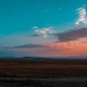 Antent, Nectry, dvw logic - the warmth that stayed