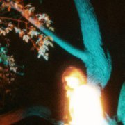 Лиссабон - Сильвия