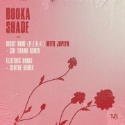 Booka Shade, Joplyn - Right Now (P.I.N. 4) (Chi Thanh Remix)