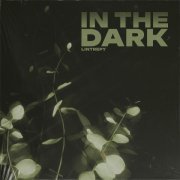 Lintrepy - In the Dark