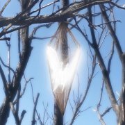 vibermx - MONTAGEM NO BATIDAO - Super Slowed