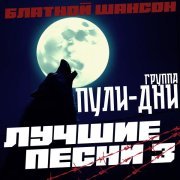 Группа Пули-Дни - Жизнь бродячая