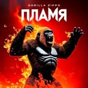 Gorilla Zippo - MARRAKESH