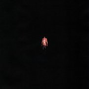 J. ROUH, SALUKI - SOLO