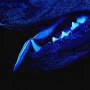 Overmono - Paradise Runner