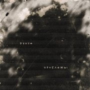 DVOYE - Проблемы