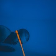 ROBY - Любовь подарить