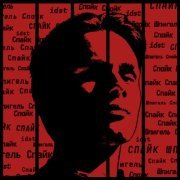 IDST - Спайк Шпигель