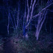 Гречка - да просвятит нас бог