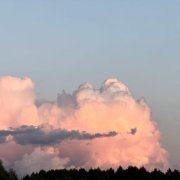 Savva Blinnikov - Remember August