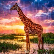 BONDDISCO, Denis Rublev, ВОЛЬЮМ - Жираф