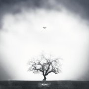 hatikoali, ВА-БАНК - Бизнес