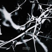 Poltabletki - План действий