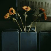 Варя, грей! - Посмотри на солнце