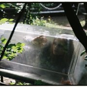 zipymplz - сильнее меня